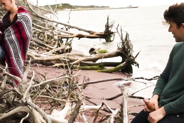 The deserted beach between the water and the woods